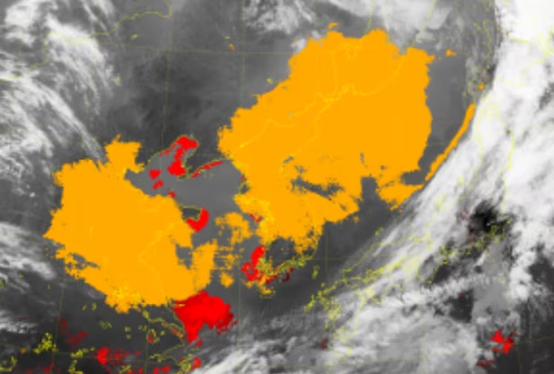 미세먼지
