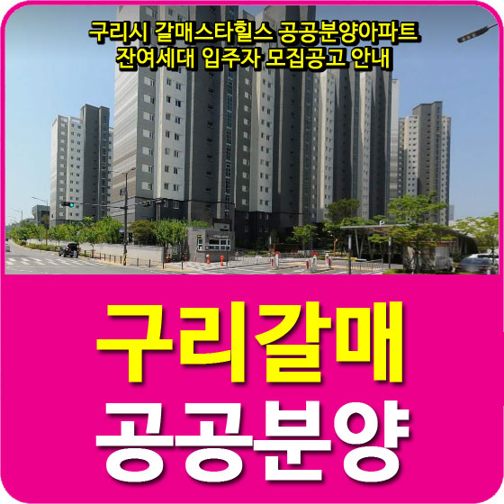  구리시 갈매스타힐스 공공분양아파트 잔여세대 입주자 모집공고 안내