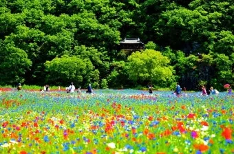 5월 경남 부산 근교 가볼만한곳 베스트10 명소_13