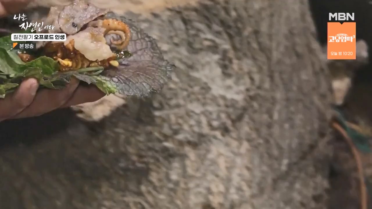 나는 자연인이다.E557.230608p-NEXT.mp4_20230608_194916.488.jpg