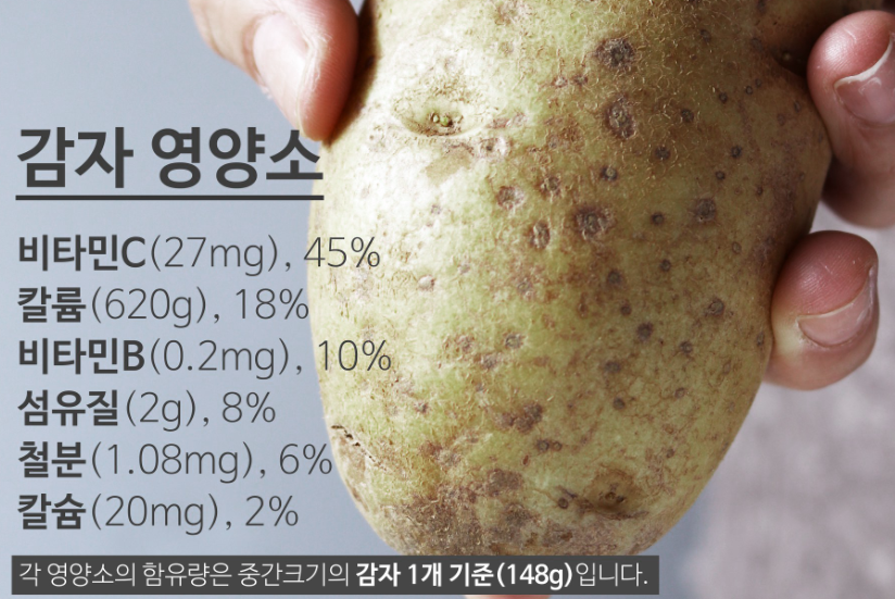 감자의 칼로리 함량