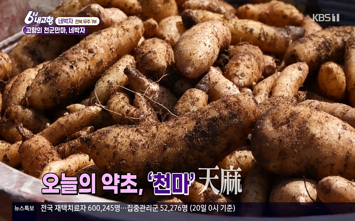 6시 내고향.E7523.220421p-NEXT.mp4_20220507_175857.174.jpg