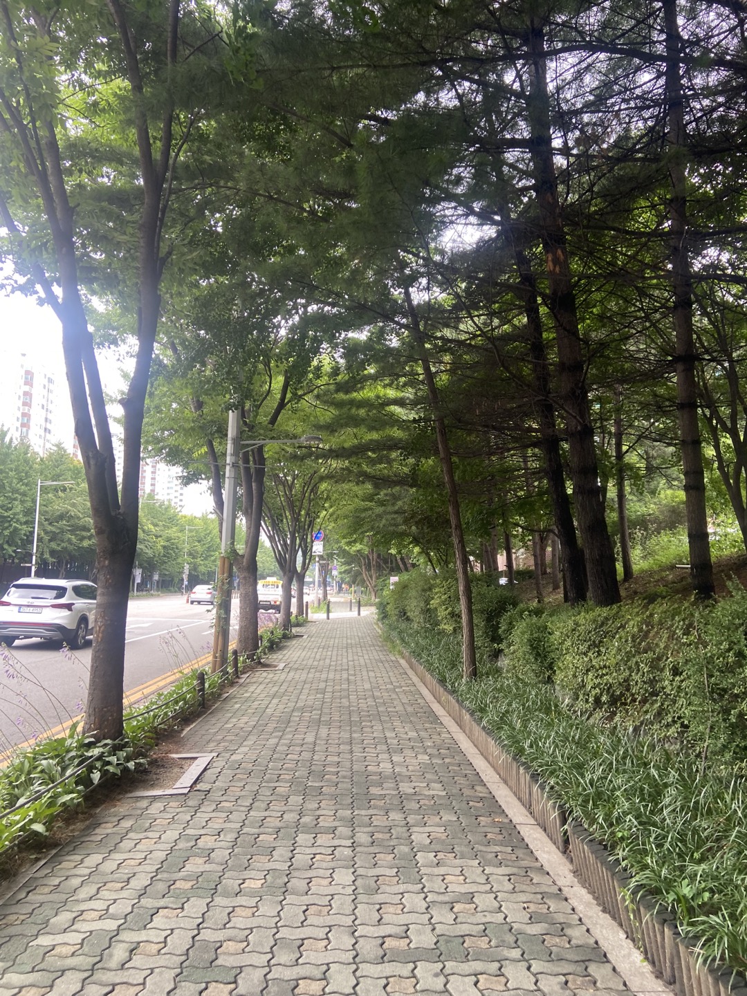  쾌적 그 자체.
