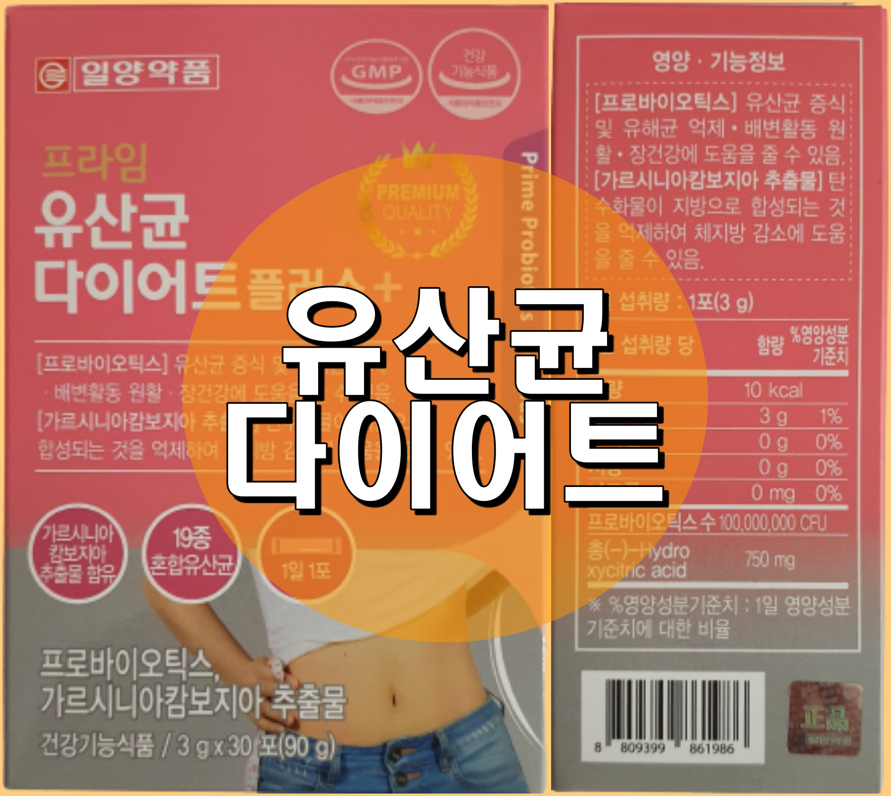  유산균 다이어트 시작