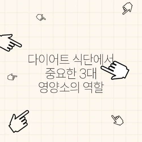 다이어트 식단에서 중요한 3대 영양소의 역할