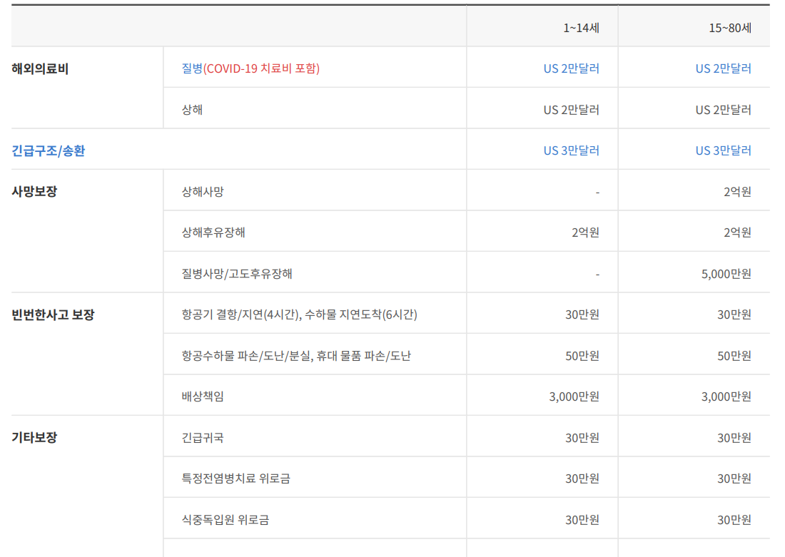  해외여행자보험 만원대로 들었다.