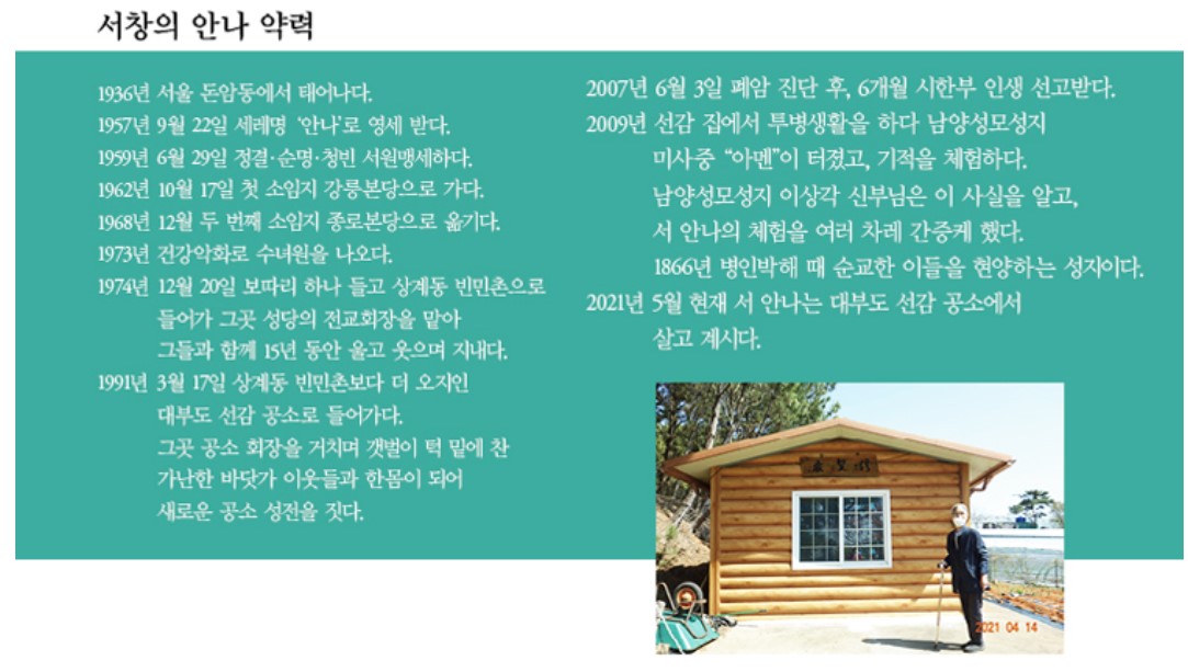 서창의-안나-약력