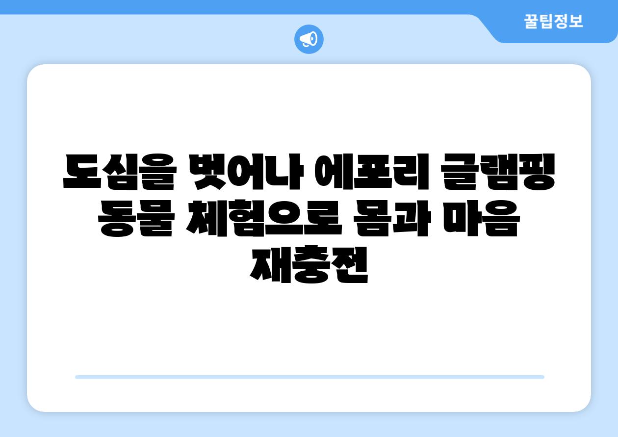도심을 벗어나 에포리 글램핑  동물 체험으로 몸과 마음 재충전
