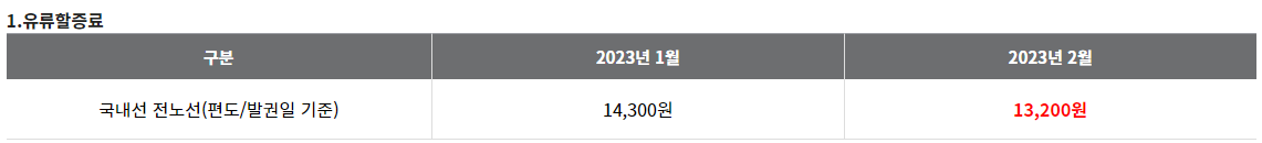 국내선 유류할증료 (2023년 2월) 13200원