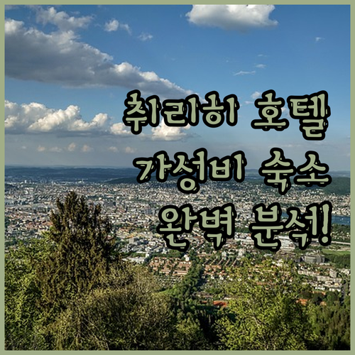 취리히 호텔 완벽 분석 에어포트 호텔