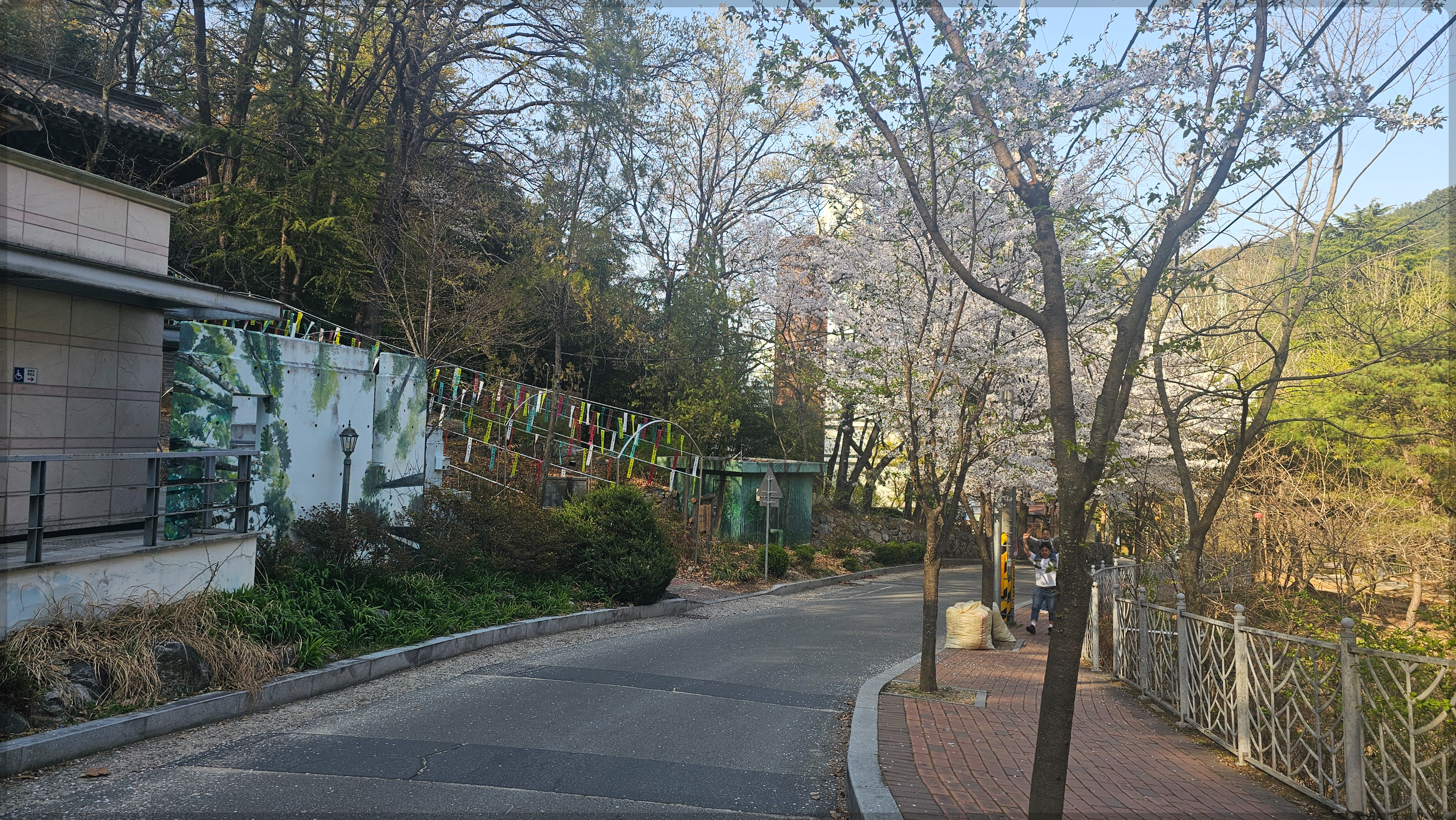 앞산으로 가는길 이미지
