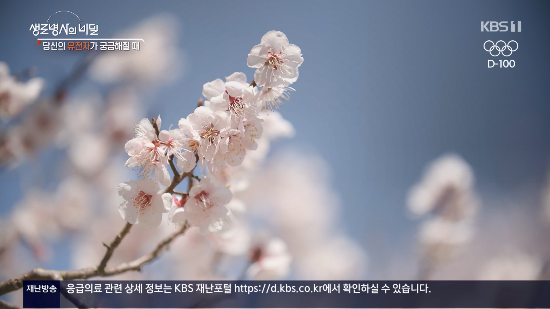 생로병사의 비밀.E905.240417p.H264-F1RST.mp4_20240418_205214.371.jpg