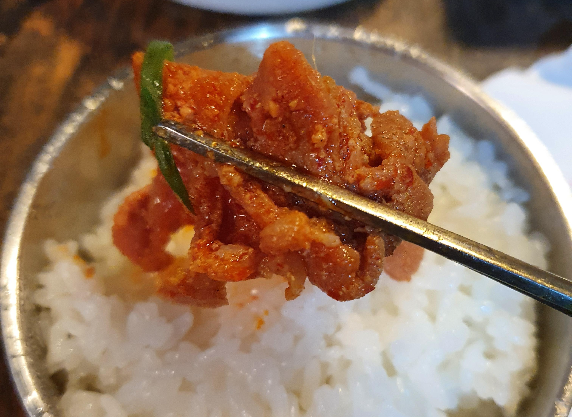 고기-확대-사진