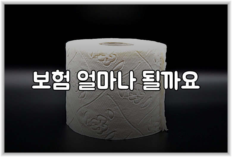 보험 얼마나 될까요