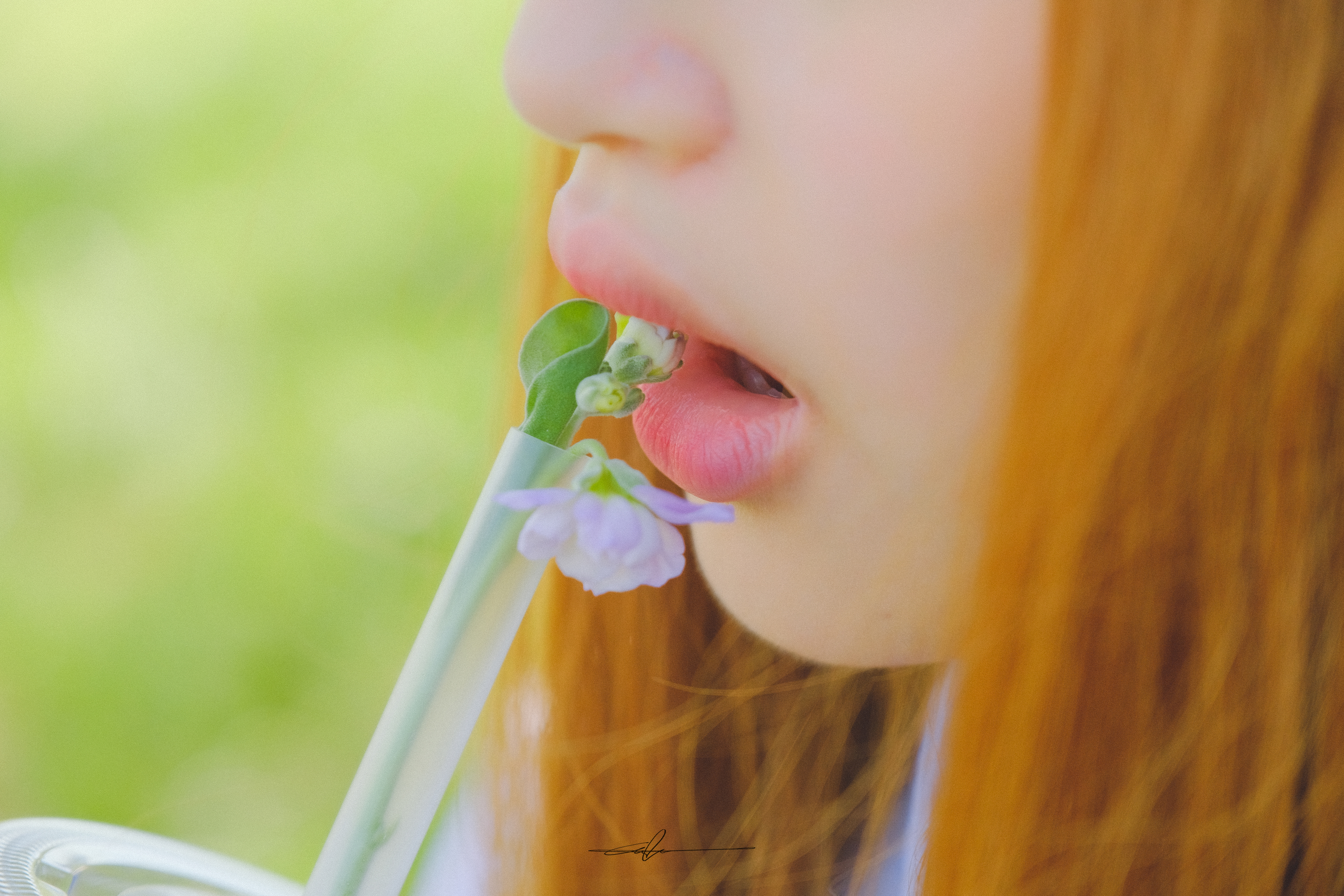  #b0c6eb_Wafflower_2