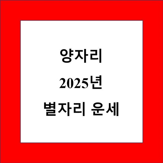 양자리 2025년 운세 제목 상자