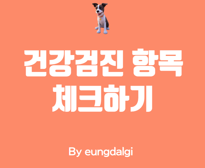  건강검진 항목: 건강한 삶을 위한 필수 검진