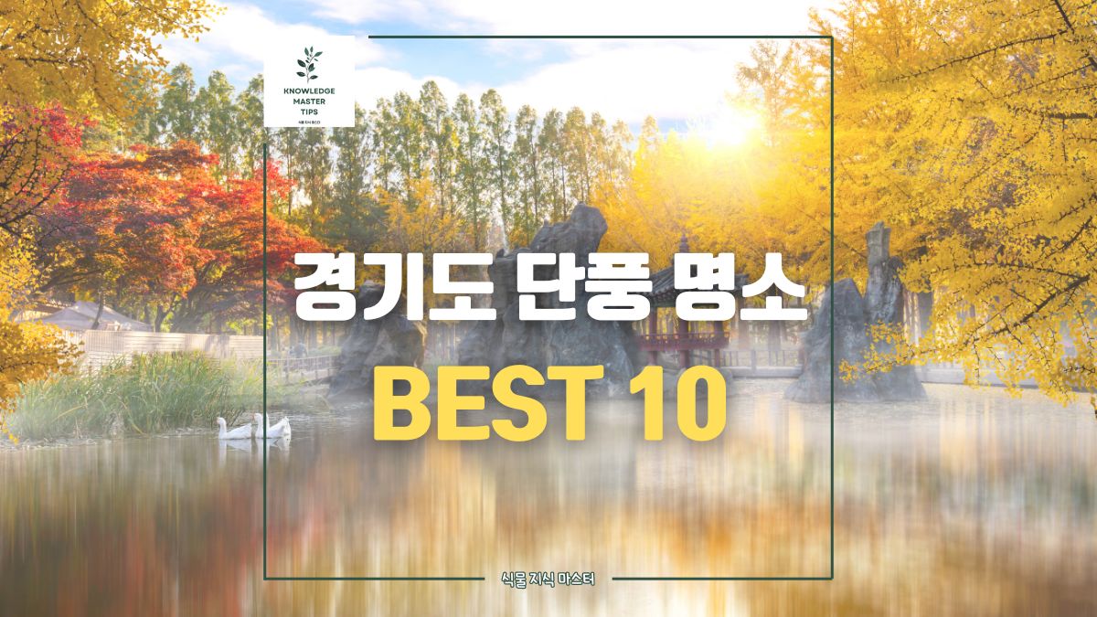 경기도 단풍 명소 BEST 10 총정리, 올해 경기도 단풍 시기는?