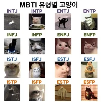 밈 의미 사례_7