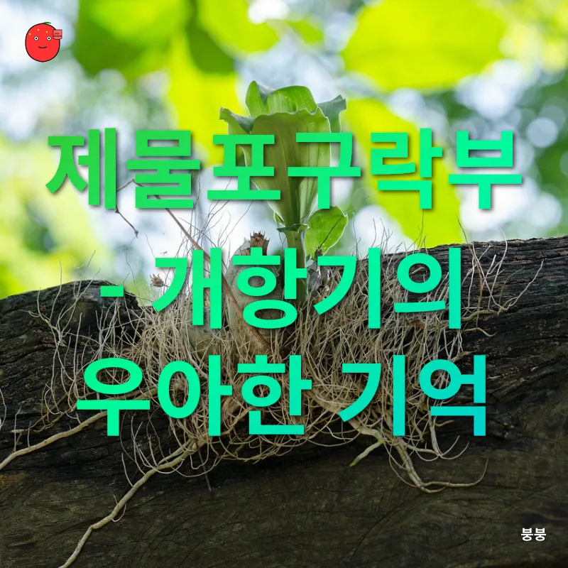 역사문화공간 재탄생_1
