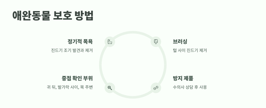 집에서 진드기 퇴치법 완벽 정리 8