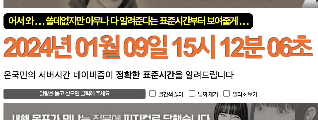 네이비즘 사이트를 활용한 한국표준 시간 설날 추석 기차표 및 콘서트 티켓 예매