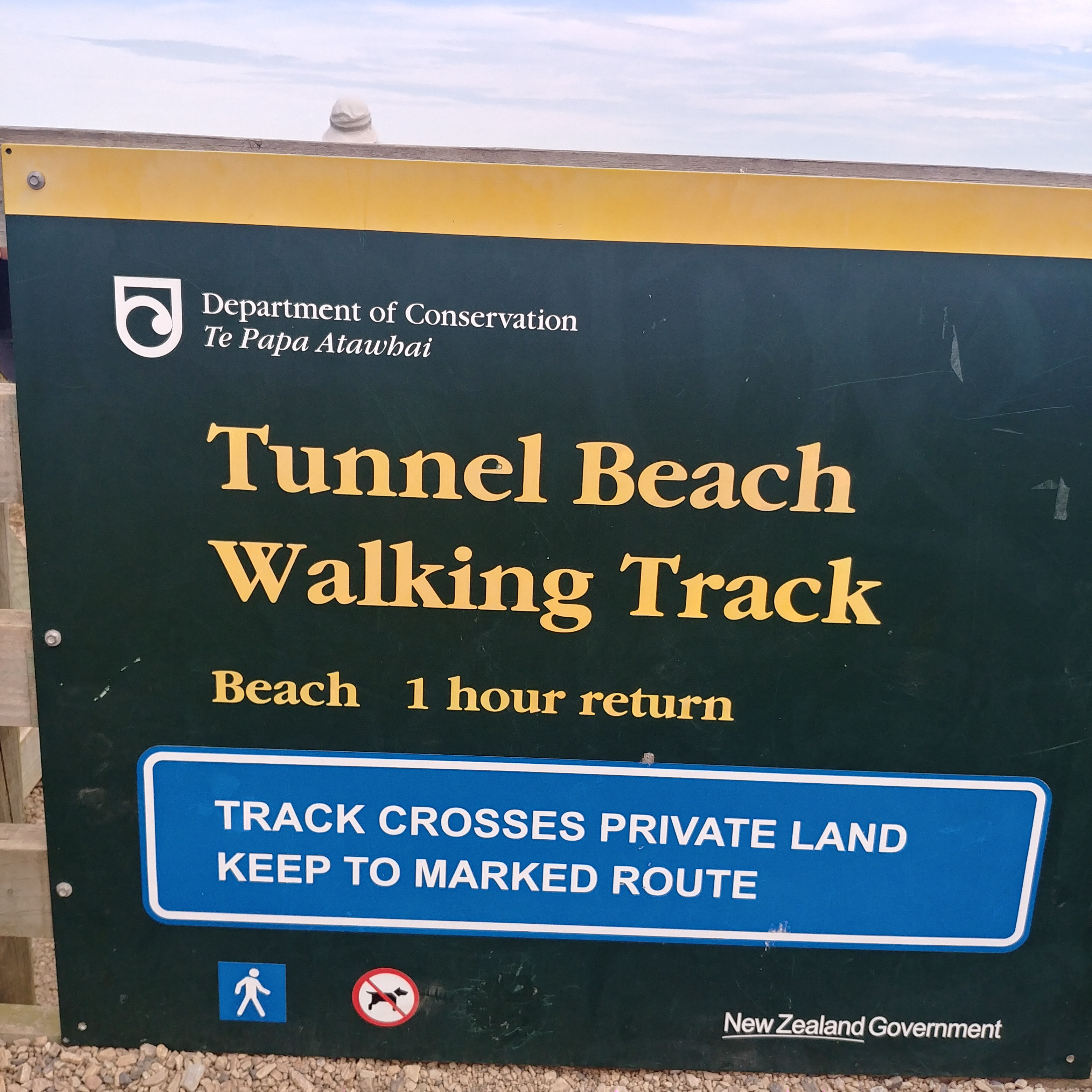 뉴질랜드 더니든 여행에서 꼭 가야할 곳 터널 비치 Tunnel Beach