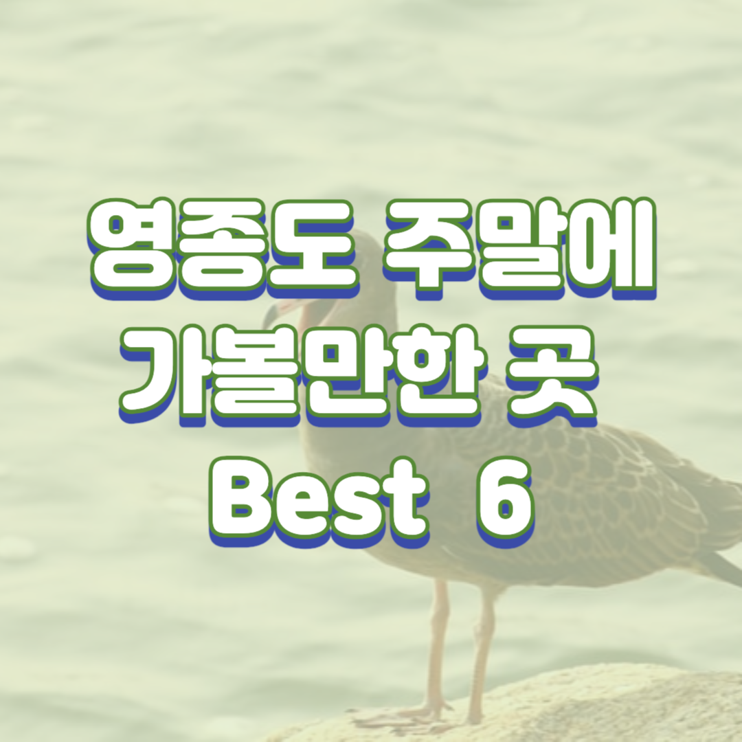  영종도 주말에 가볼만한 곳 6 곳 추천(Best 6)