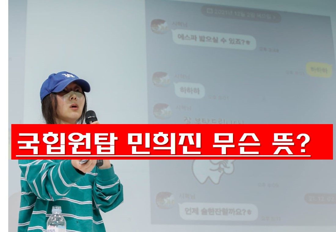  국힙원탑 민희진 무슨 뜻?