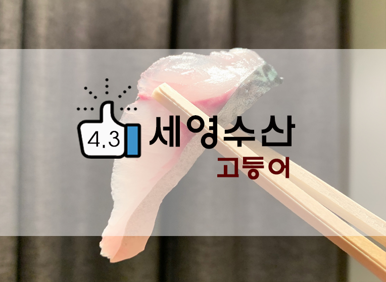  제주/성산 고등어회 추천? 세영수산 고등어회 포장후기!