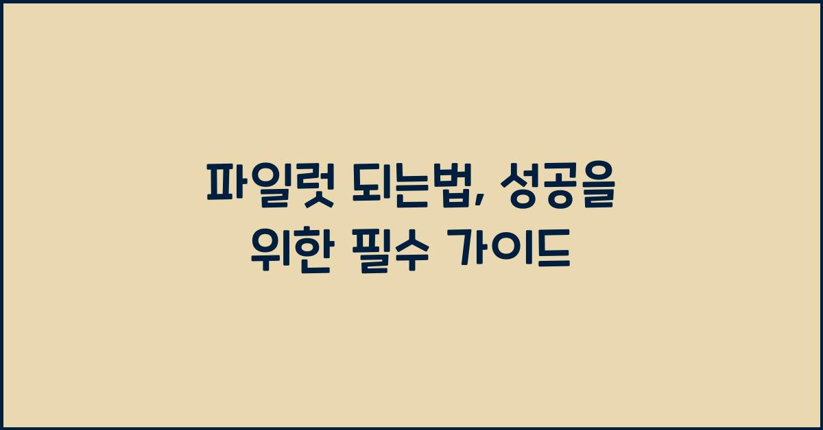 파일럿 되는법