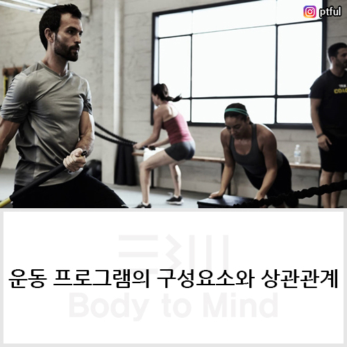  운동 프로그램의 구성요소(training component)와 상관관계