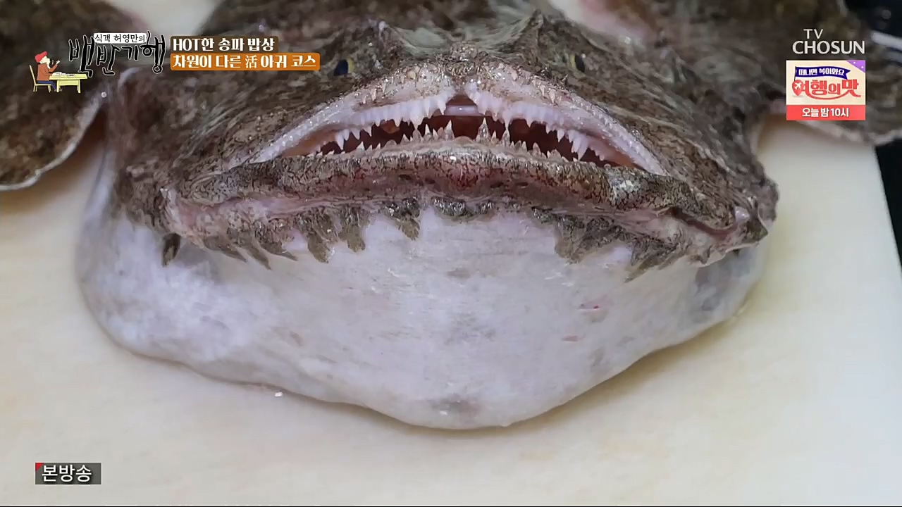 식객 허영만의 백반기행.E176.221119p.H264-F1RST.mp4_20221120_180104.446.jpg