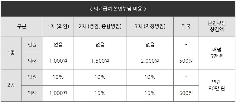 의료급여