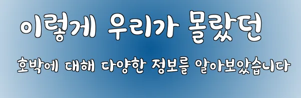  이렇게 우리가 몰랐던 호박에 대해 다양한 정보를 알아보았습니다