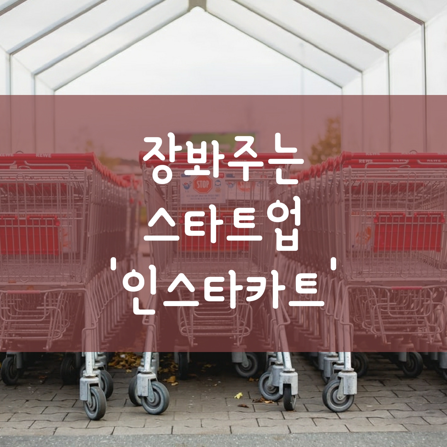  장을 대신 봐주는 미국 스타트업 '인스타카트'