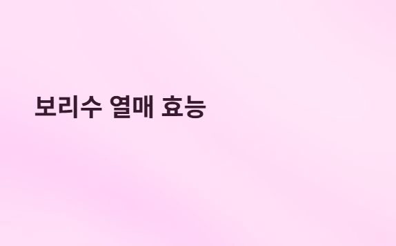 보리수열매효능