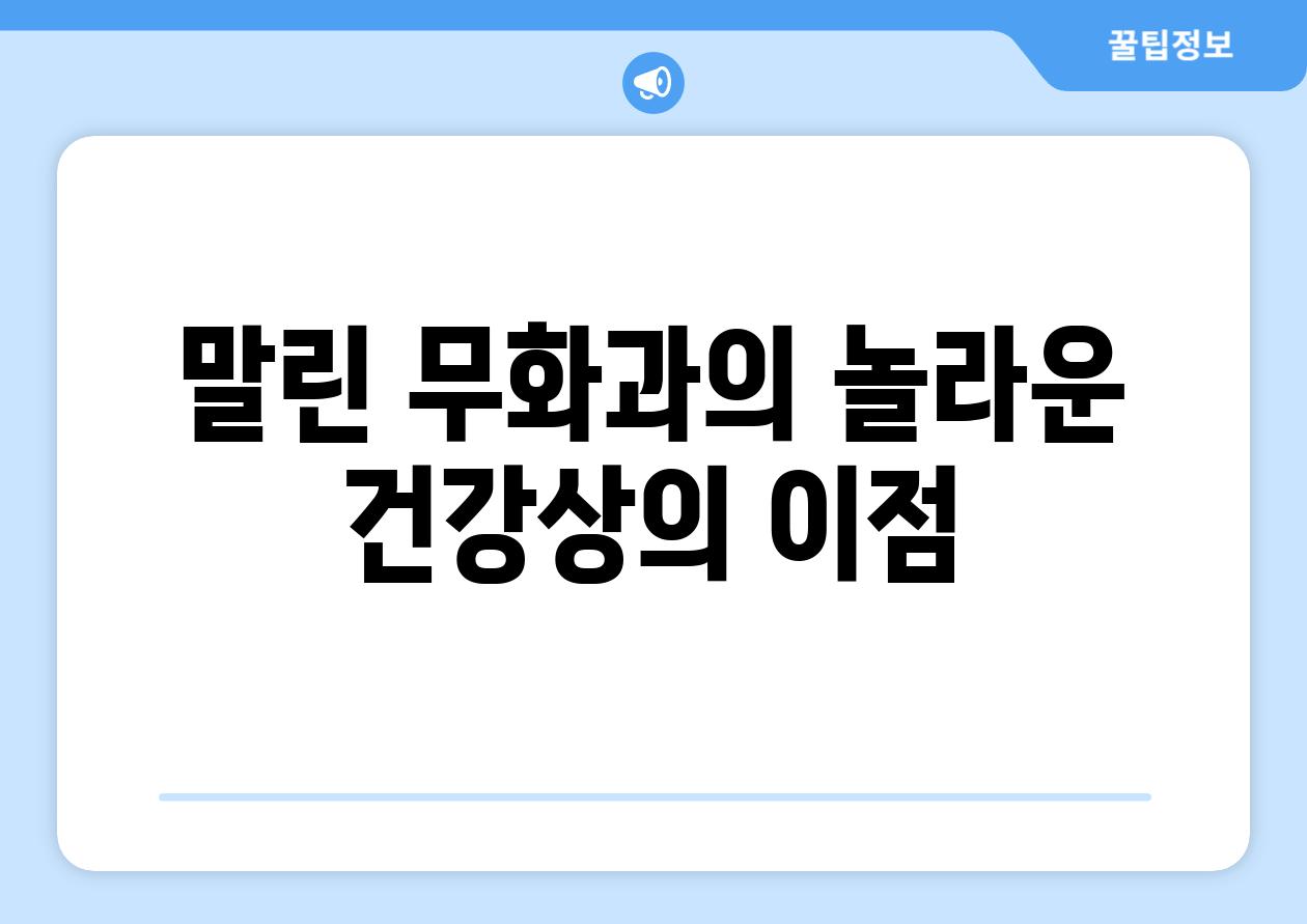 말린 무화과의 놀라운 건강상의 이점