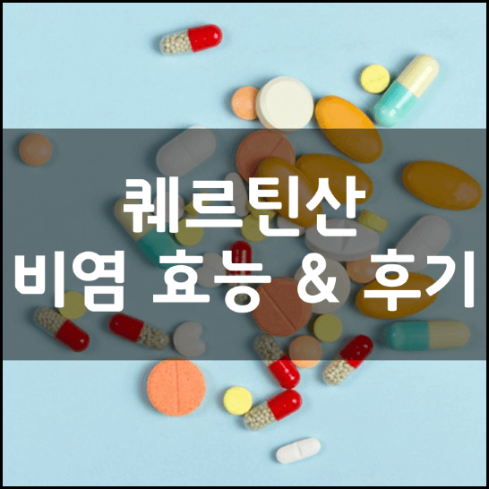 퀘르틴산-퀘르세틴-비염-효능-성분-복용법-가격-내돈내산-후기-총정리