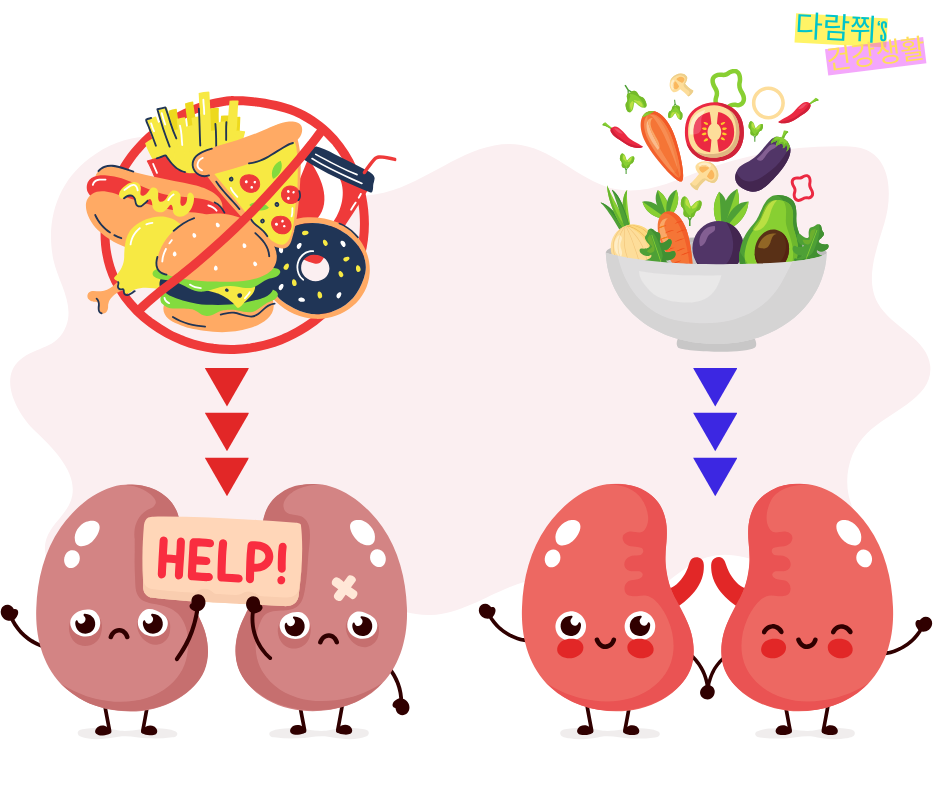 신장에 나쁜 음식 5가지, 신장에 좋은 음식 5가지: 신장 보호를 위한 식단 가이드