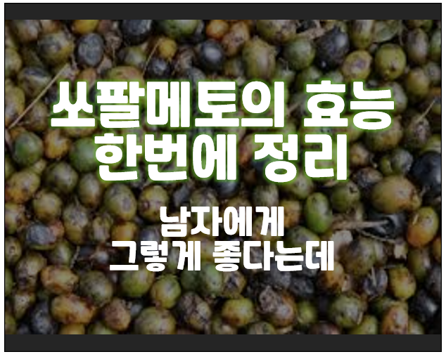  쏘팔메토의 효능 한번에 정리