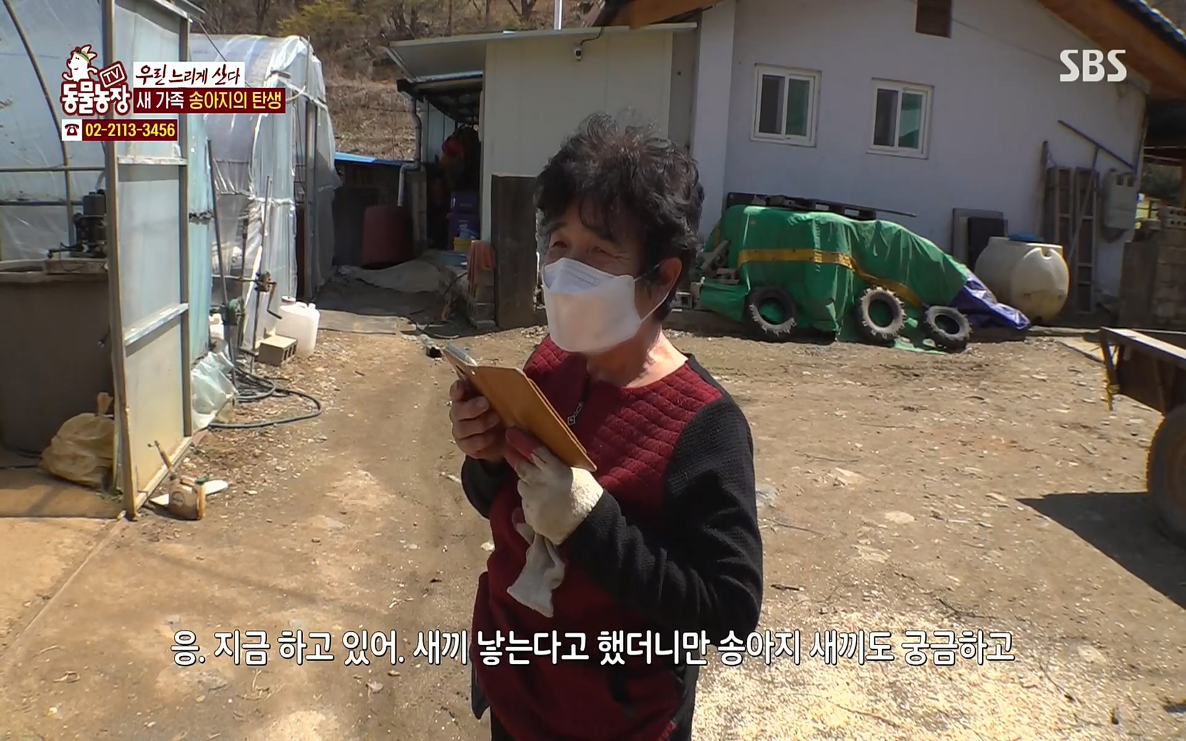 TV 동물농장.E1067.220501p.H264-F1RST.mp4_20220501_183509.482.jpg