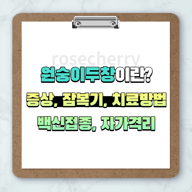 원숭이두창이란-증상-잠복기-치료방법-백신접종-자가격리기간까지-쉽게-알려드림