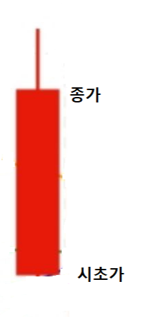 양봉과 음봉