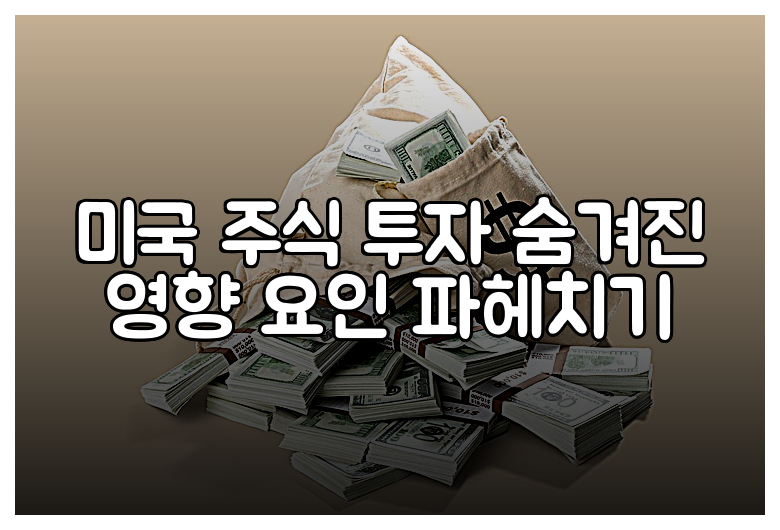미국 주식 투자 숨겨진 영향 요인 파헤치기