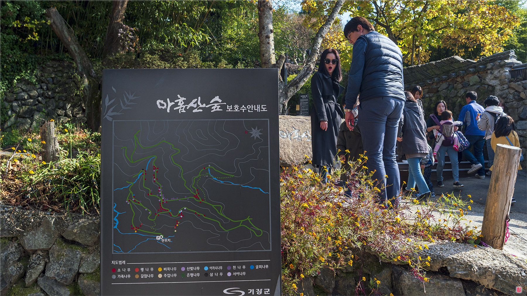  아홉산대나무숲<3>