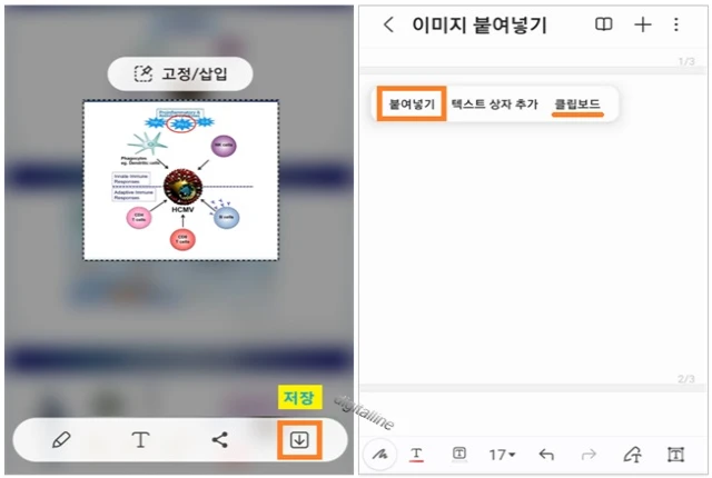 캡처한 이미지 저장 - 붙여넣기를 합니다.