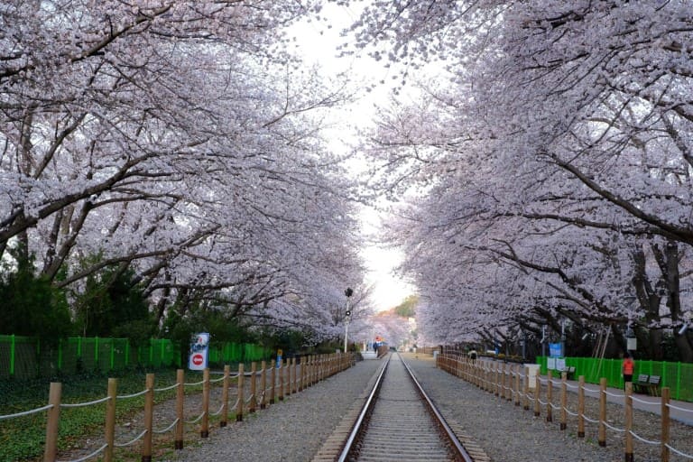 2023 진해군항제축제 성료