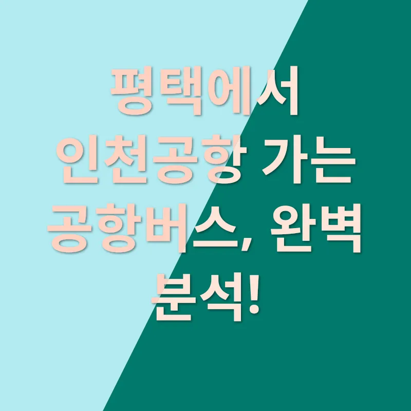 공항버스 이용_3