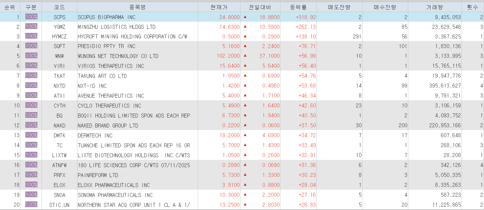  12월17일 미국주식 상승률 상위 종목 TOP 200